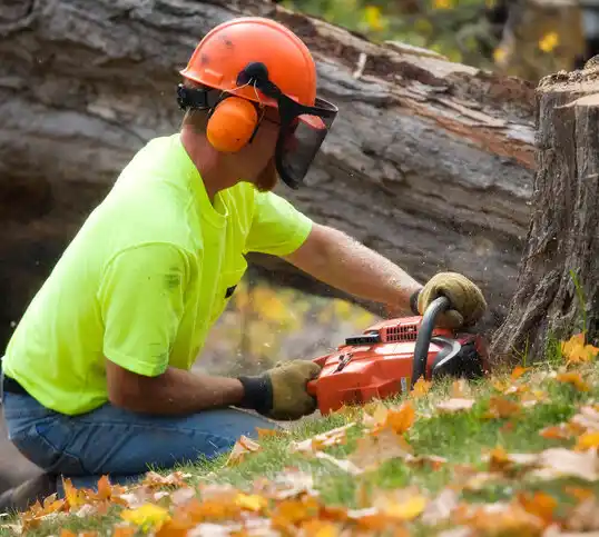 tree services Aquebogue